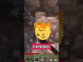 Minecraft health education #minecraft #memes #minecraftevents #gaming #schpood #mcyt #schpood #fyp