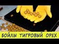 Бойлы Тигровый орех своими руками / Вареные бойлы