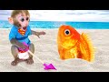 Monkey baby bon bon eat lego jelly on the beach and with ducklings playing with sand