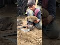 poor child in a hut Impossible artwork 👉😱