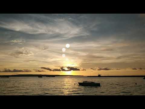 Zaini - wherever you would call me(Lyrics)