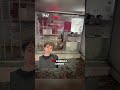 Man throws a beer keg through the window of Georgetown Cupcake