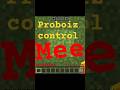 Minecraft but proboiz control me #minecraft #gaming #minecraftgameplay #minecraftshorts