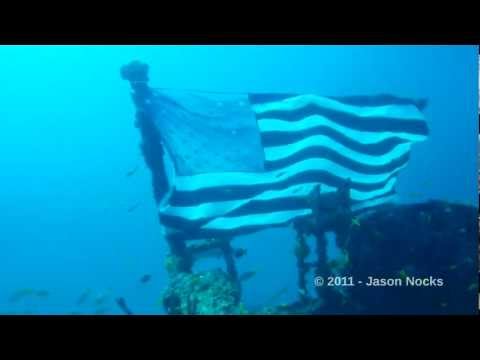 Sharpnose Pufferfish eating Banded Coral Shrimp - USCG Duane Shipwreck - Key Largo, Fl