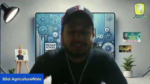 Learning from Failure  Turning Setbacks into Opportunities