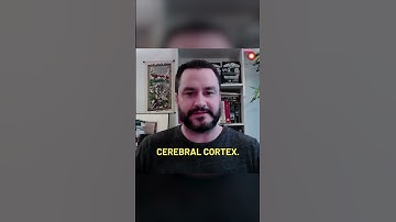 How to Write Like Robert Anton Wilson