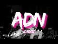 JC Reyes - ADN (Letra/Lyrics)