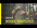 🏞️ ¿Qué es un BOSQUE TERAPEUTICO? 🌳 | Baños de Bosque, Turismo de Salud y BENEFICIOS | Descúbrelo!!!