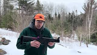 Partisan trigger test 