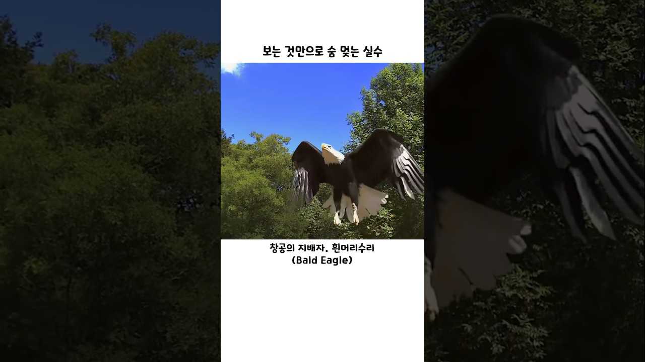 보는 것만으로 숨 멎는 실수