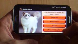 Domestic Cat Breeds Mobile App on Google Play screenshot 3