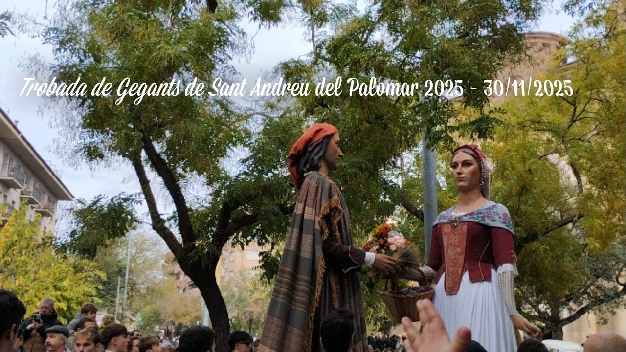 Trobada de Gegants de Sant Andreu del Palomar 2025 - 30/11/2025