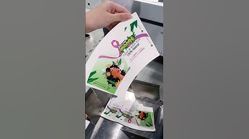 Coated paper cup fan digital printing machine #onepass #machine #papercup#digitalprinting #coated