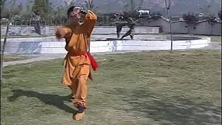 Shaolin Kung Fu Impact Strategy – Da Pao Quan (Big Power Form) | Liu Zhen Hai