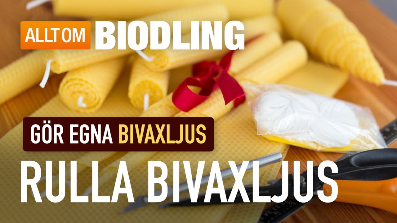 Rulla bivaxljus av vaxmellanväggar - Bivax