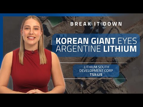 Korean giant POSCO targets Lithium South’s Argentine assets