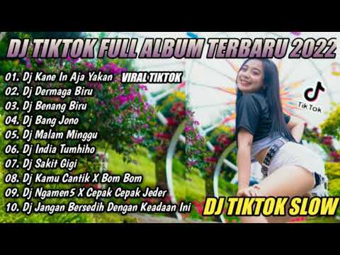 DJ KANE IN AJA YAKAN SOUND VITO YANG LAGI VIRAL || DJ TIKTOK FULL ALBUM TERBARU 2022