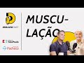 Como a musculao impacta a sade  drauziocast