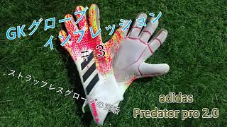 GKグローブレビュー　＃３　adidasプレデタープロ