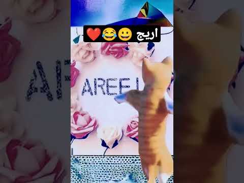 اريج اريج حسب طلبكم أريج      بنات  