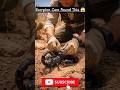 We Put a Camera on a Scorpion… It Found This 😱 #usa #usashorts