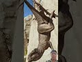 #shorts #youtubeshorts #funny #trending #viral #quick
