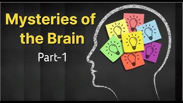 Unraveling the Enigma: Exploring the Mysteries of the Brain: Part-1#brainpower
