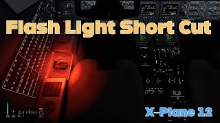 X-Plane 12 Tutorial: Flashlight Shortcuts for Night Flights screenshot 3