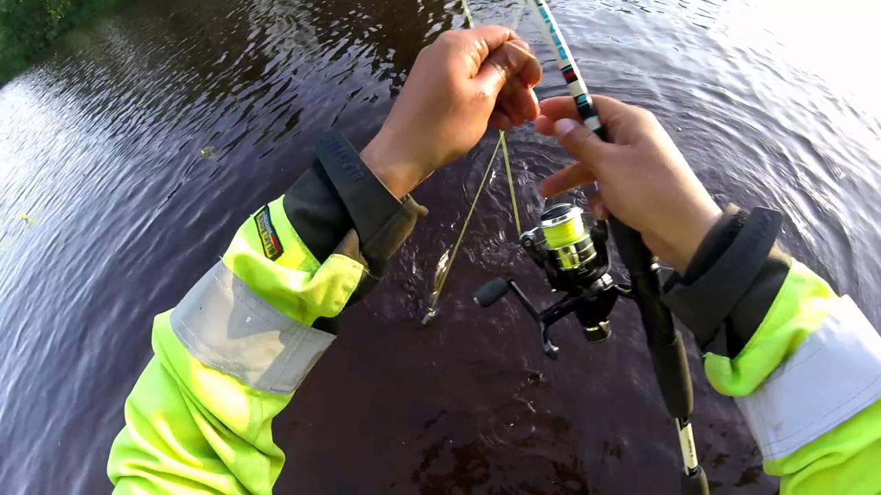 Pottu kalastaa vol 14- testissä maxximus predator tail or jerkki/jigausta/frogia