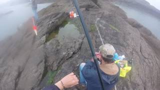 la pêche : en bord de mer une orphie au flotteur