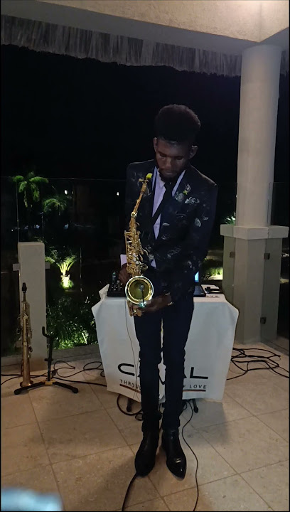 Jamaica Farewell #saxophone #folksong #shorts #belize