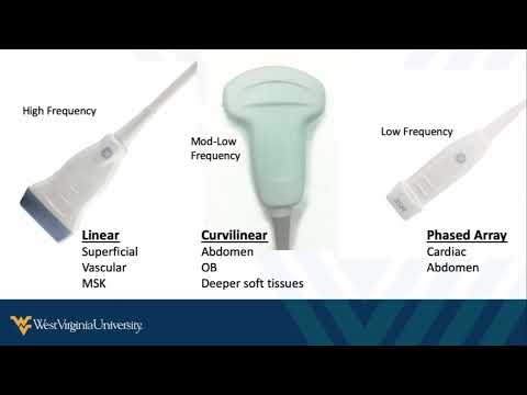 Introduction to Point-of-Care