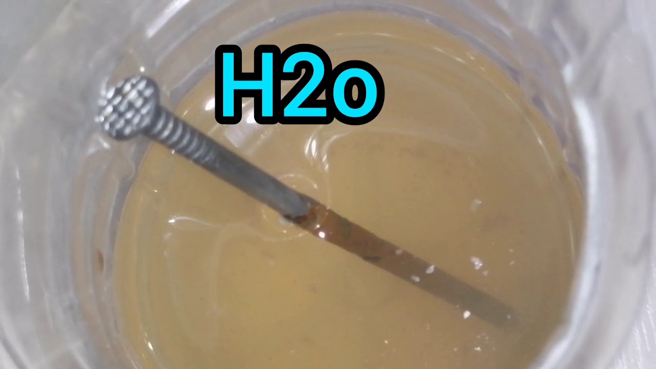 ОПЫТ. Коррозия железа в различных средах - YouTube