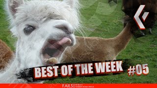 WORLD'S FAILs | BEST OF THE WEEK #05