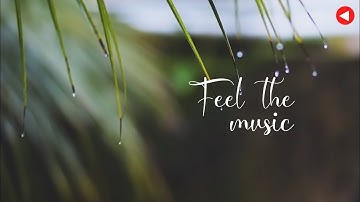Rain whatsapp status||Zara zara instrumental||Baarish status||Nature video||Rain sound|| Ajoy Patra