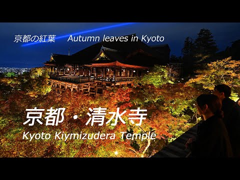 ノートルダム大聖堂・稲荷神社・金閣寺・清水寺・LEDディスプレイライト×2 Amazon | FUNPOLA LED 3Dパズル 木製パズル 組立キット 立体