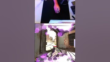 Rats have me HEATED #apex #apexlegends #clips #highlights