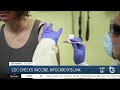 CDC investigates link between COVID-19 vaccine and myocarditis