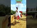 ተው ጎጀ #newethiopianmusic #ethiopia #amharic #አማራ #ኢትዮጵያ #ebs #bahirdar #ወሎ #ጎጃም #ጎንደር #ሸዋ #ባህል