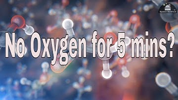 What If World Lost Oxygen For 5 min?