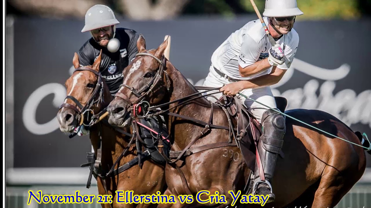 argentine open polo