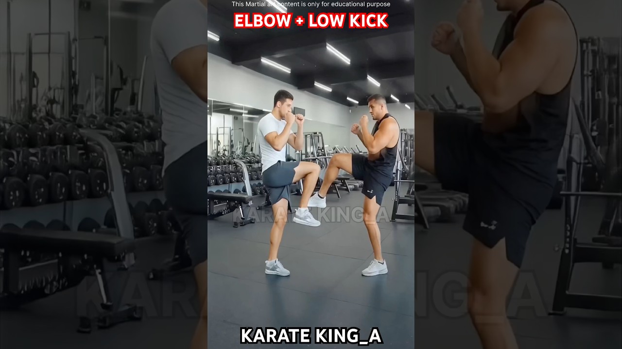 Elbow + Low kick 