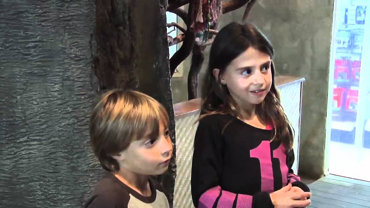 Pet store owners on why they use Pet Store Pro. YouTube