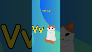 😺 A to Z Cats Song | Meet 26 Cute Cats from A to Z! 🐾 Fun ABC Learning for Kids