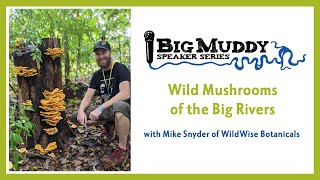 Wild Mushrooms of the Big Rivers