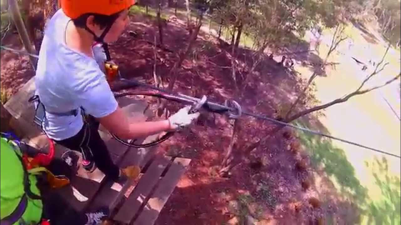 Currumbin High Ropes/Tree Top Challenge Zipline YouTube