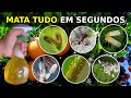 Mata Formiga, Lagarta, Cochonilha, Pulgão, Mosca Branca, Larva Minadora, Ácaro | Mata em segundos