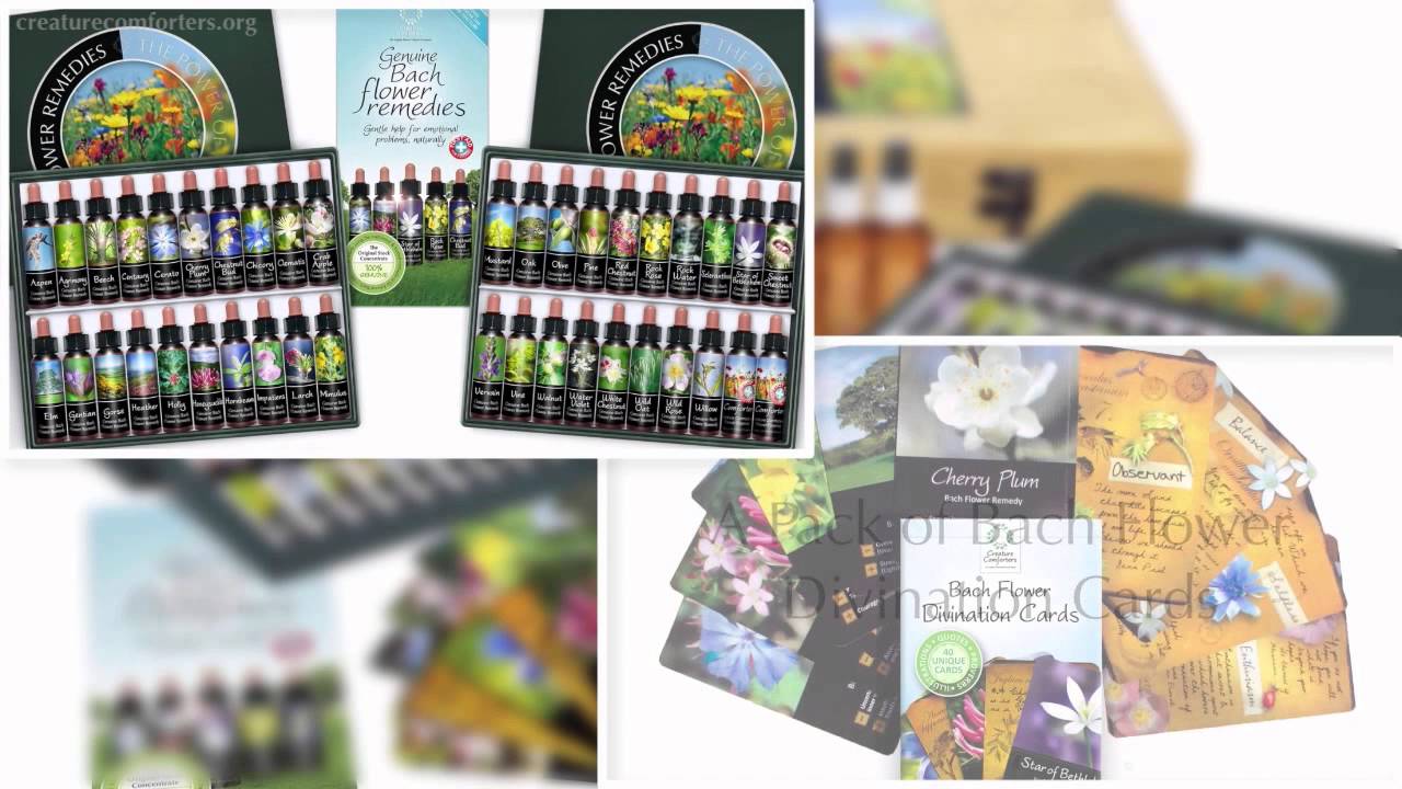 BACH FLOWER REMEDY GIFT SET KIT ad