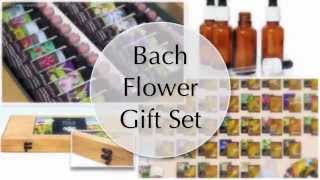 BACH FLOWER REMEDY GIFT SET KIT ad