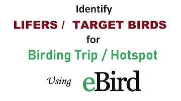 Identify Lifers or Target Birds for Birding Trips or Hotpots using eBird | #birdwatching #birding